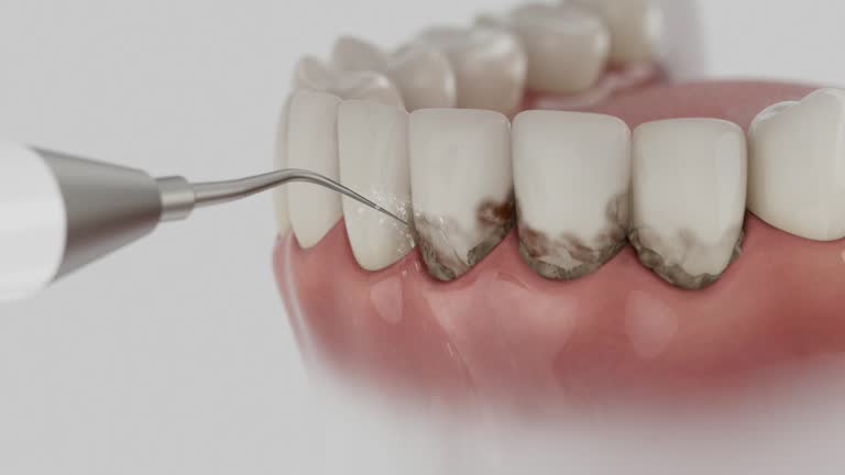 Reliable Dental contractor in Ashland, OH by Dentist Open Now